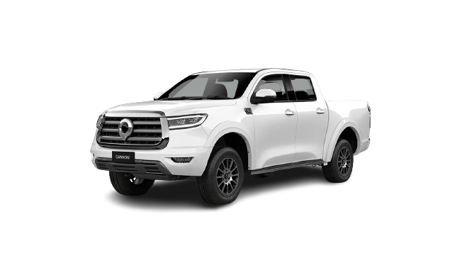 GWM Cannon P-series 2.0